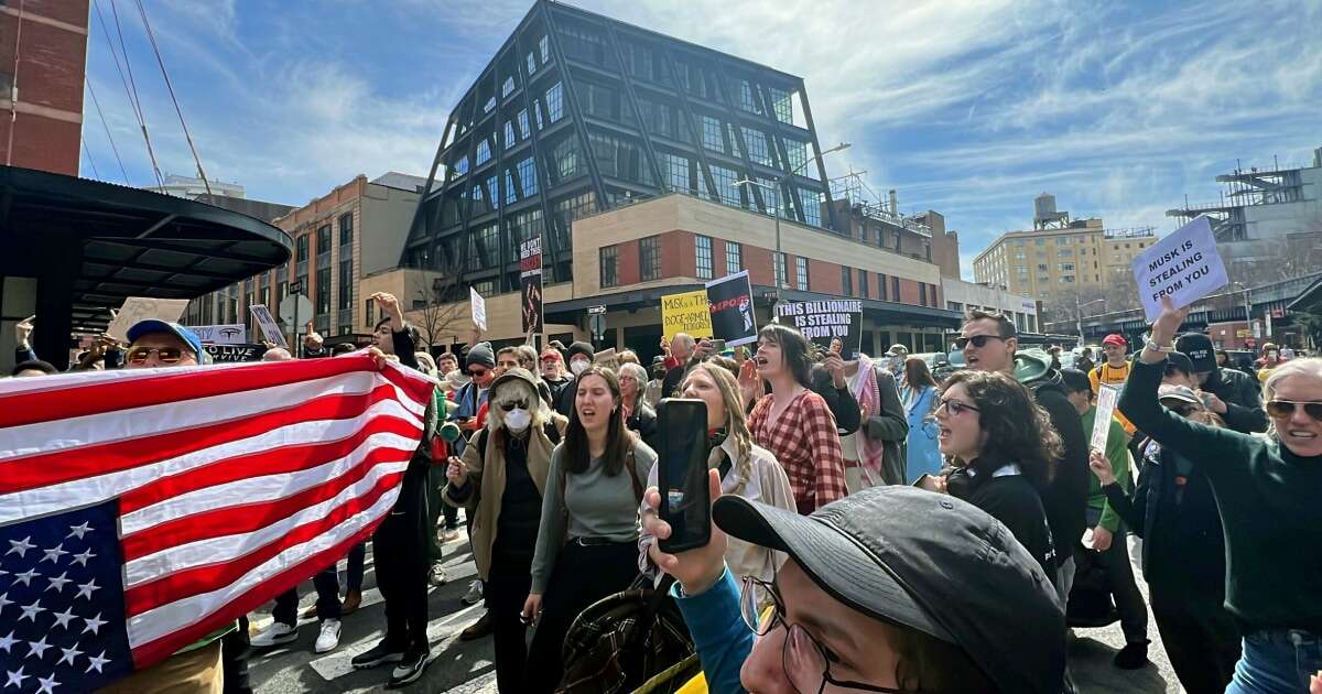 Protesters gather outside Tesla showrooms and dealerships to denounce Elon Musk and DOGE