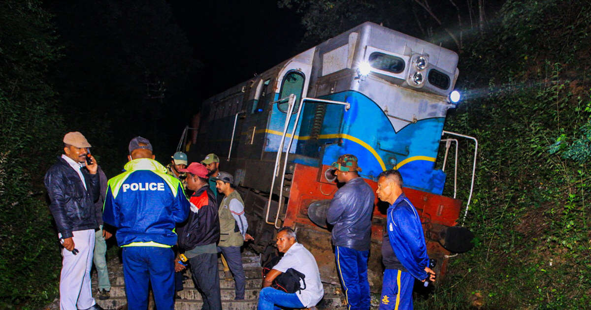 A train struck an elephant herd in Sri Lanka, killing 6 animals