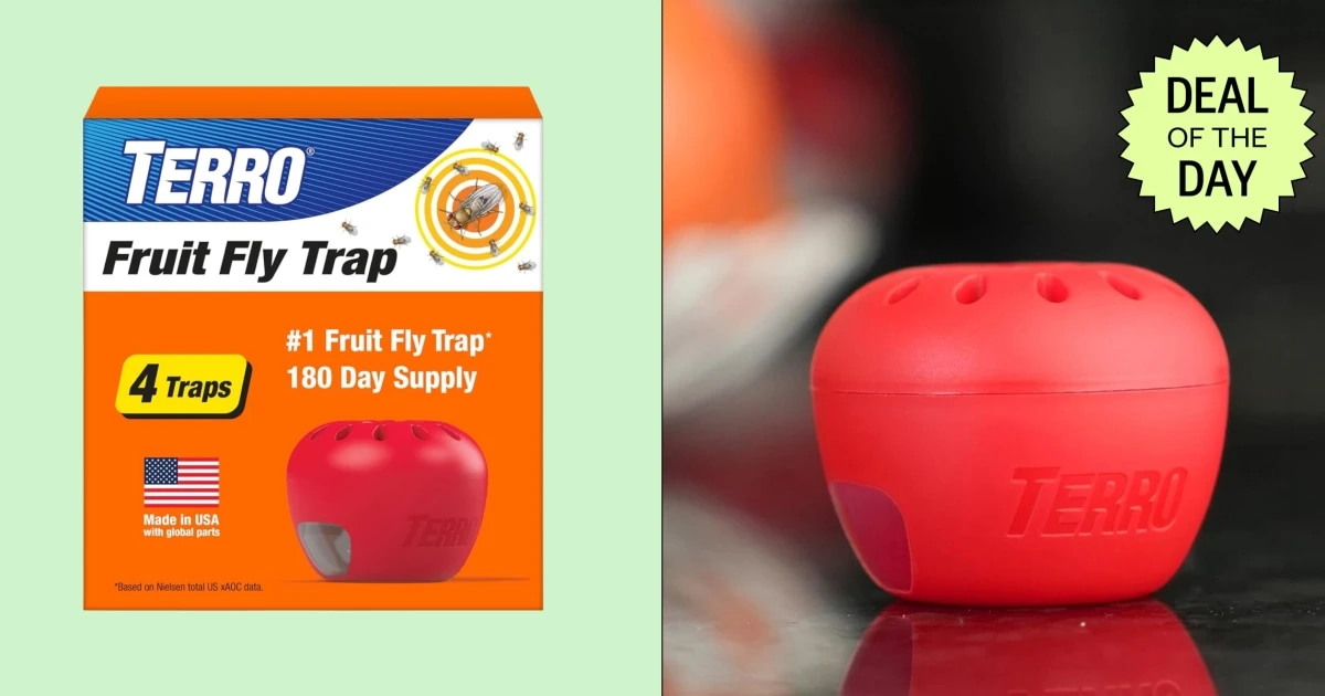 Terro’s Fruit Fly Traps are under $4 apiece — get a set of 4 for 31% off