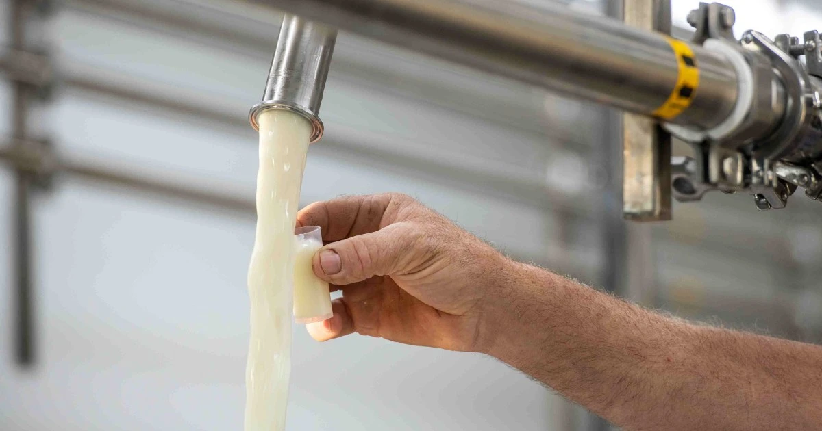 Woman says raw milk sickened her toddler and led to loss of unborn baby, sues Florida dairy farm 