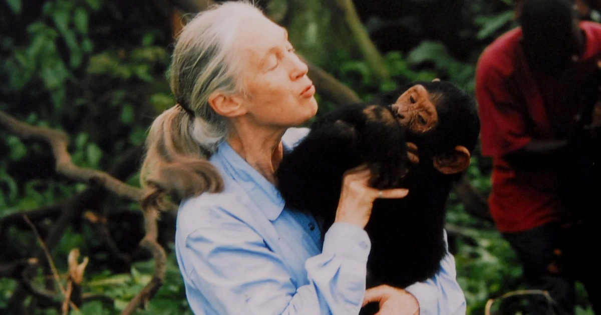 Dr. Jane Goodall, legendary animal rights advocate, dies at 91