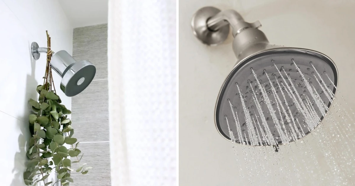 Do filtered showerheads really work? Experts weigh in