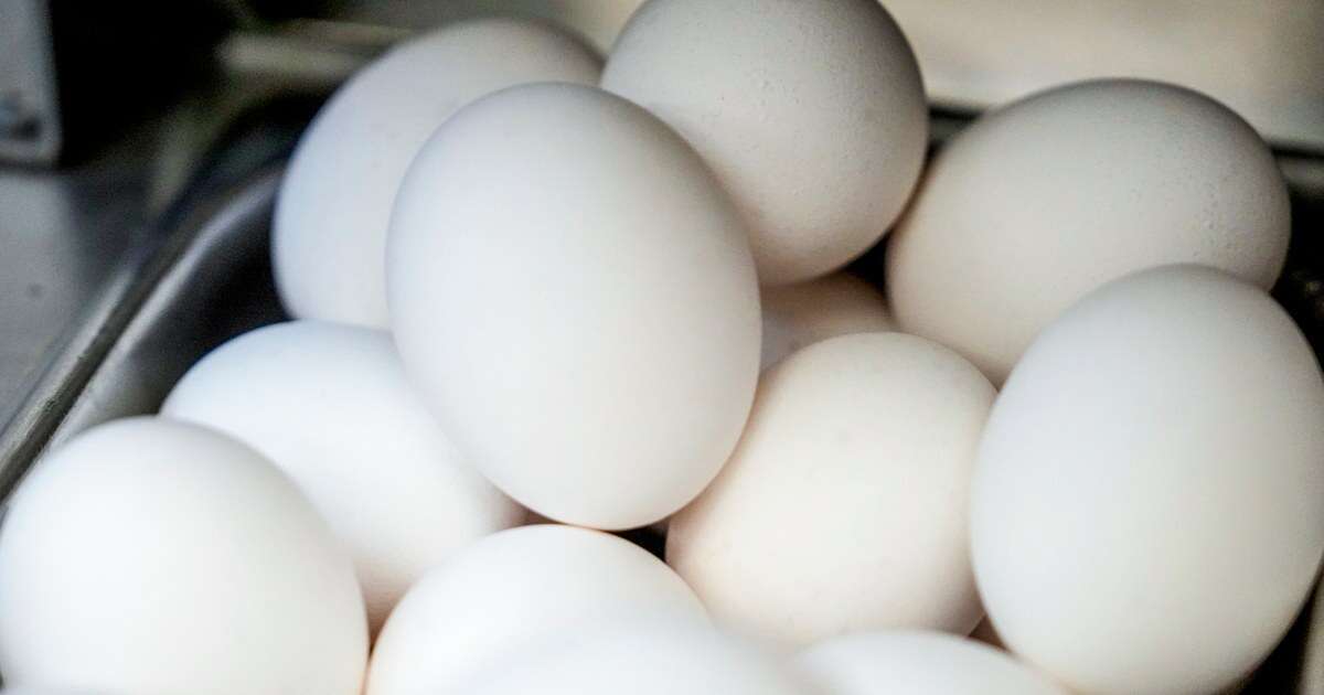 About 100,000 eggs worth $40K stolen from trailer in Pennsylvania 