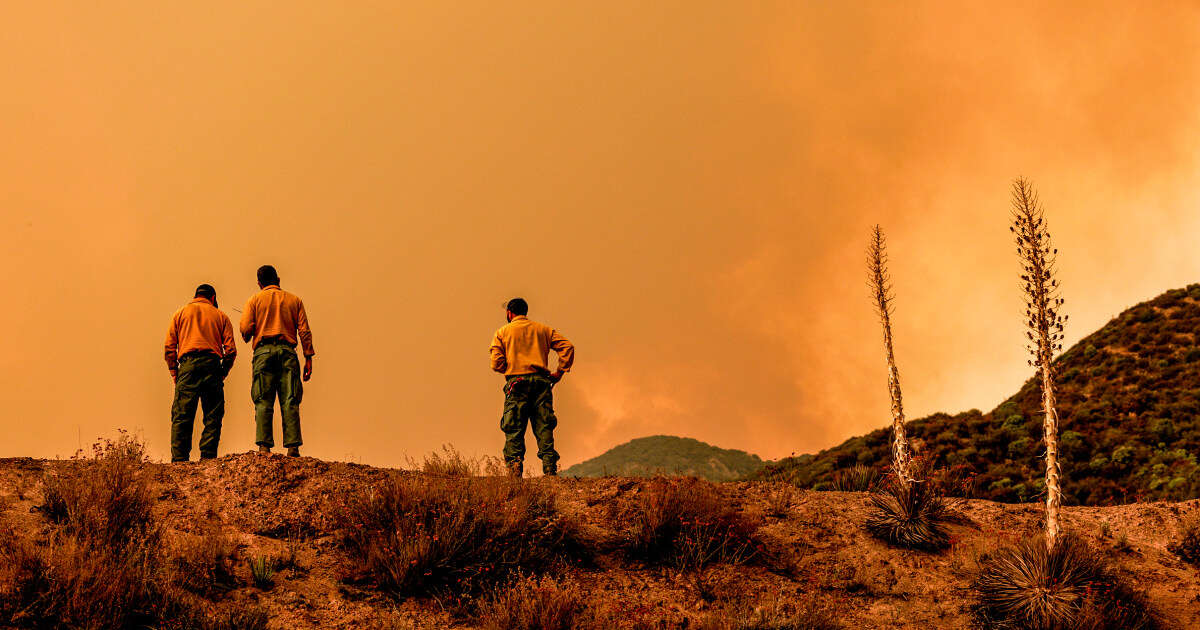 U.S. Forest Service pauses seasonal employee hiring amid budget shortfall