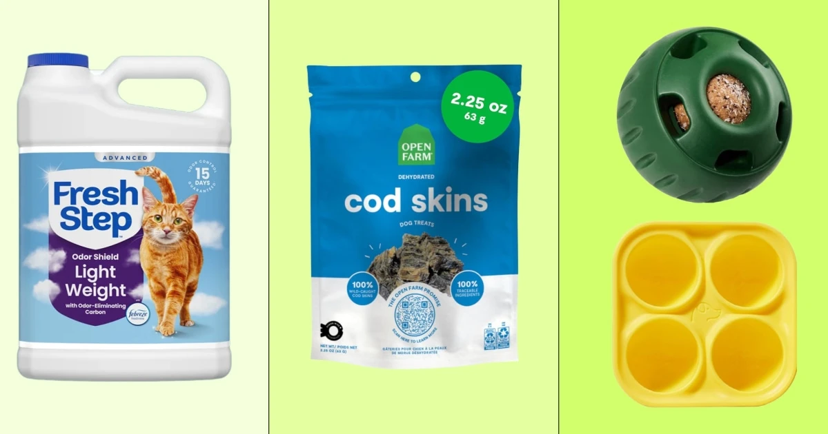 Amazon Pet Day sale: Get up to 50% off on dog food, cat litter, pet beds and more