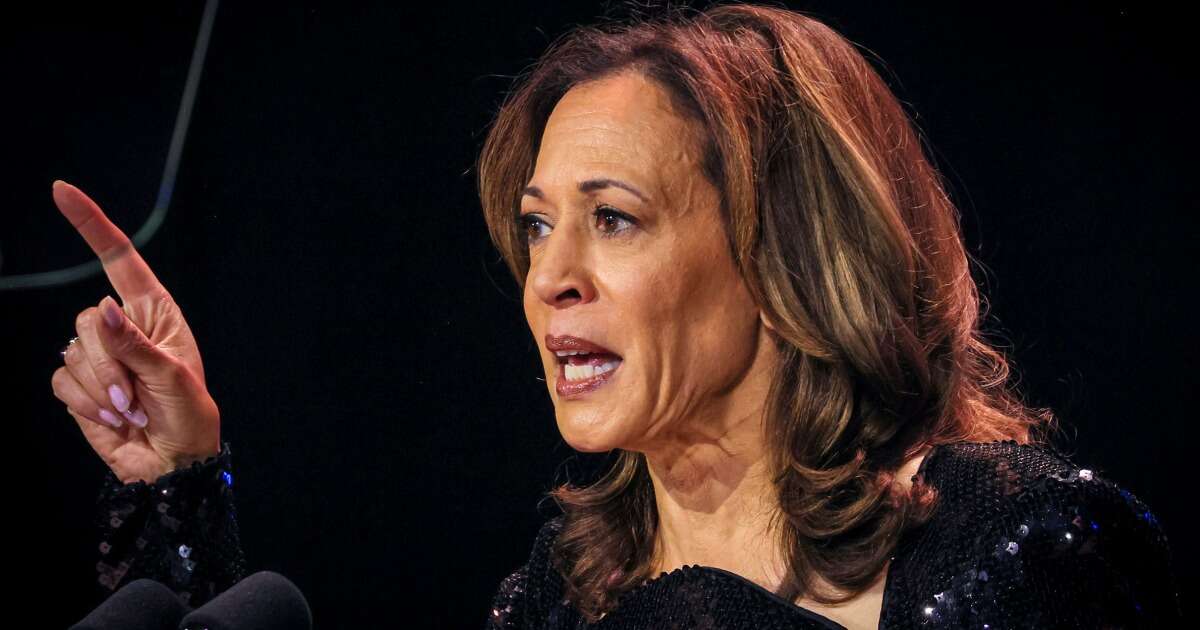 Howard poll: Black swing-state voters overwhelmingly back Harris — with key divides on age and gender