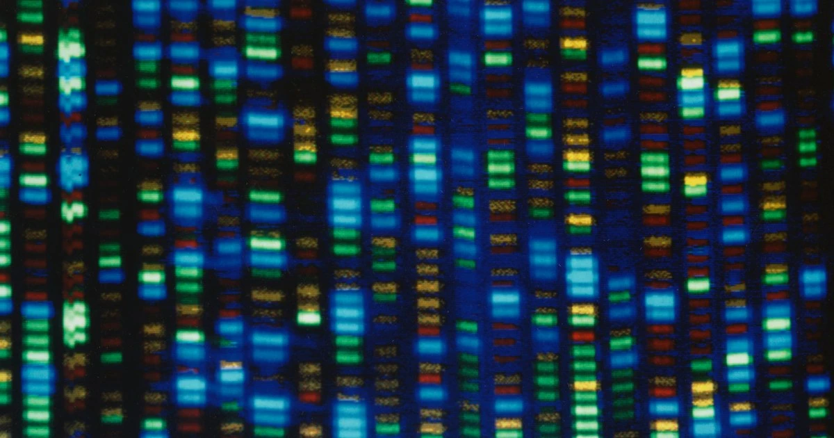 Nature looks to open up 'black box' of science by publishing peer review files