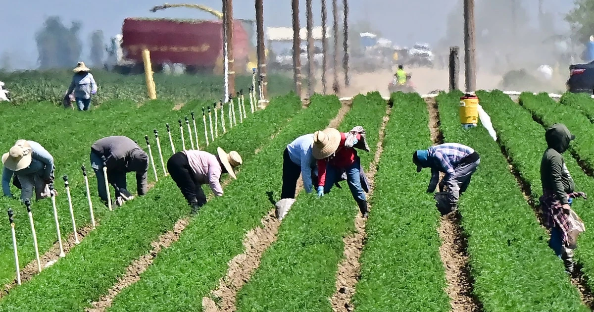 Trump floats plan for undocumented farm and hotel workers to work legally in the U.S.