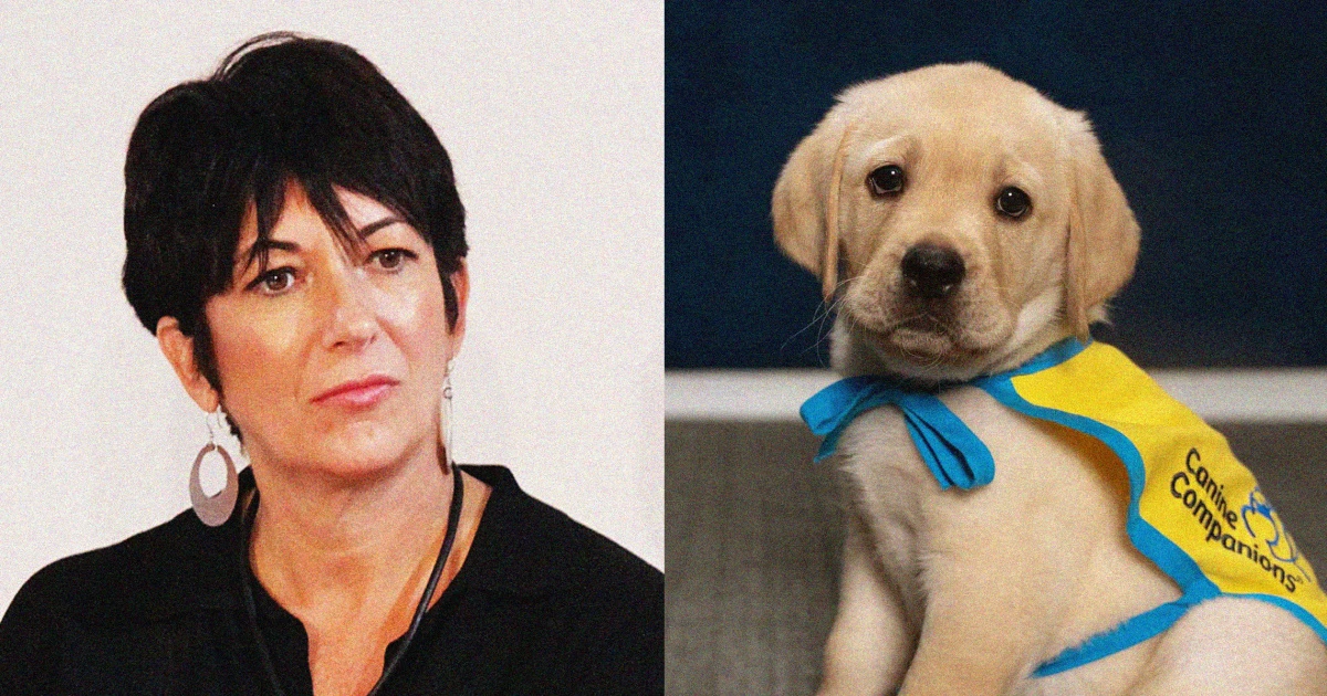 Ghislaine Maxwell barred from service dog training at cushy prison camp