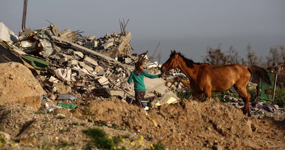 Four boys killed by an Israeli drone strike in Gaza