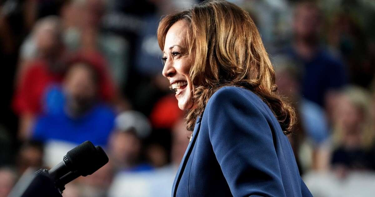 A Kamala Harris meme imagines fake but funny campaign promises  