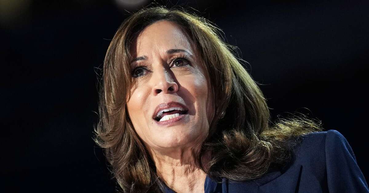 Harris attacks Trump for giving Putin Covid tests 'when Black people were dying everyday by the hundreds'