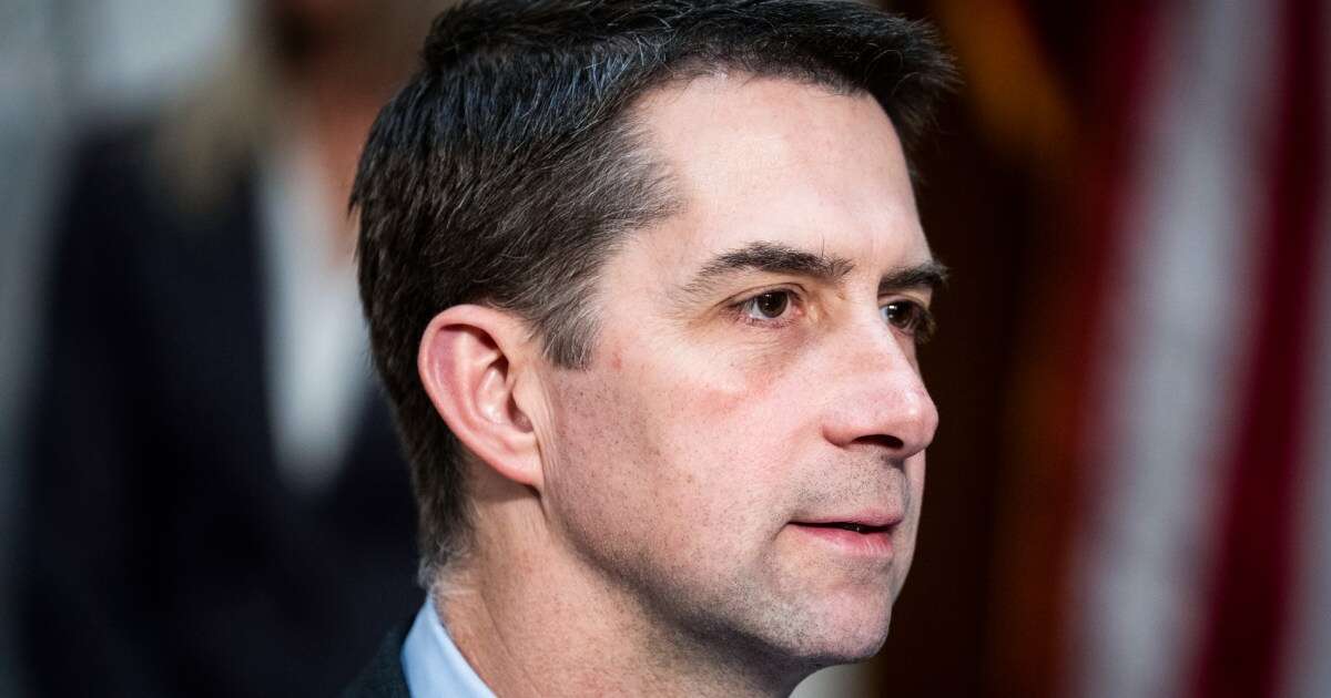 GOP Sen. Tom Cotton says Republicans are 'open' to Trump’s IVF plan but it should be ‘fiscally evaluated’