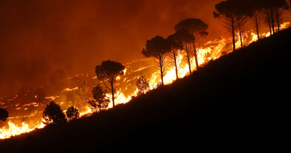 Wildfires are becoming night owls — and that’s a big problem 