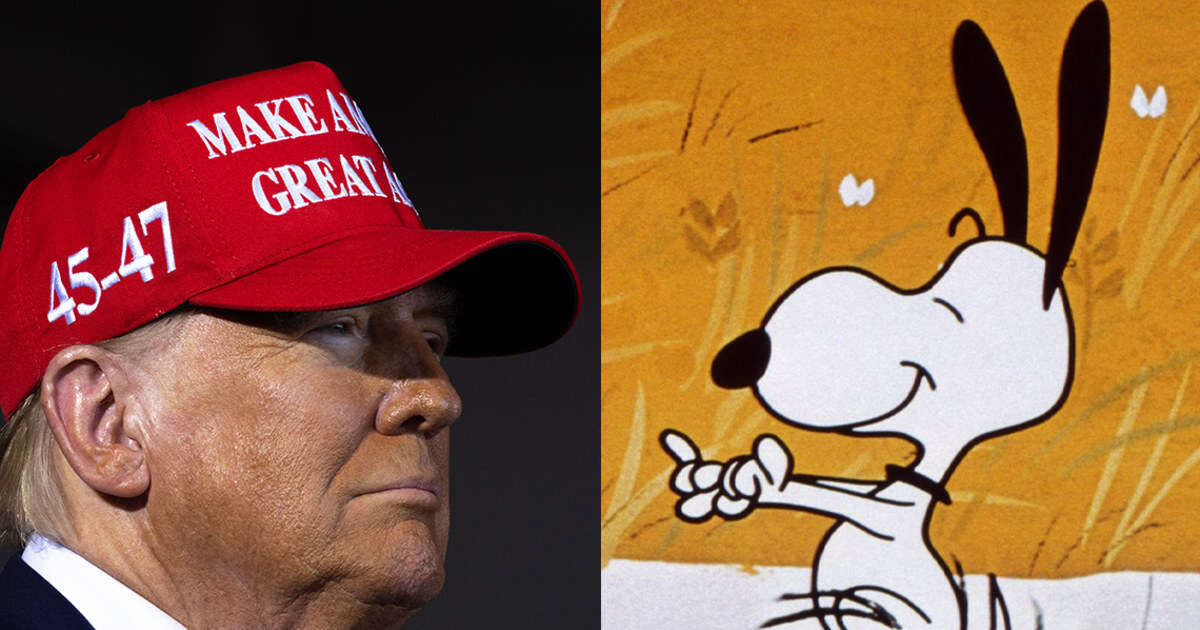 Snoopy fans angered by one account's pro-Trump post