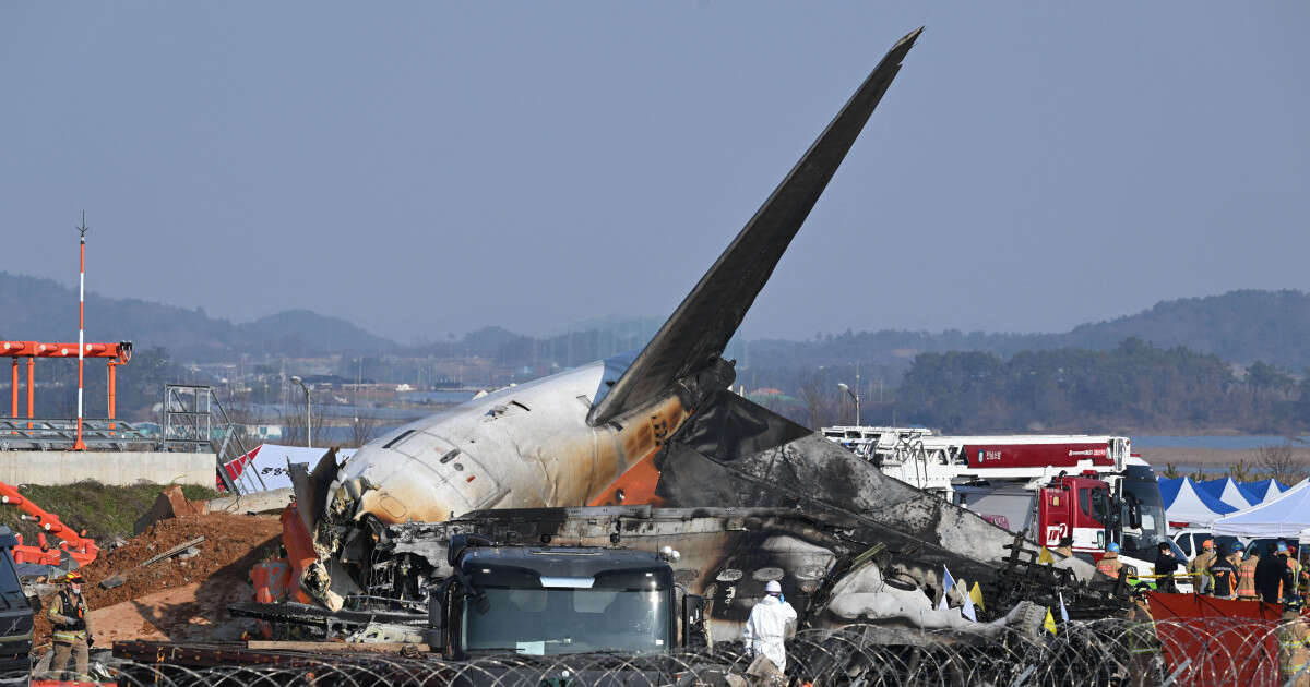 Duck DNA found in both engines of Jeju Air plane that crashed, report says