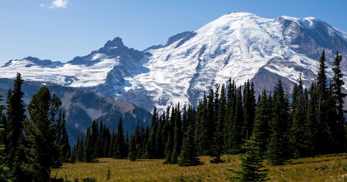 Body of skier recovered weeks after apparent fall in Mount Rainer National Park