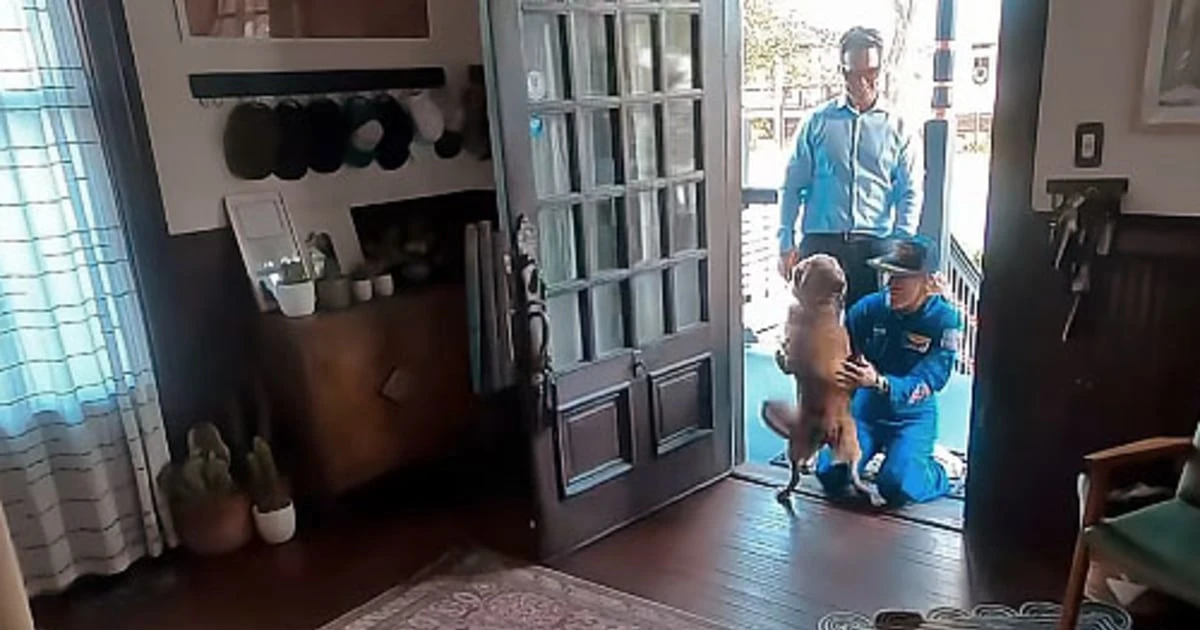Heartwarming video shows Artemis II astronaut Christina Koch reuniting with her dog