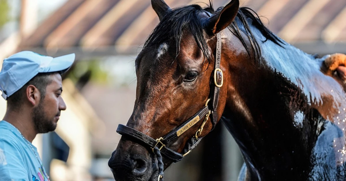 2024 Belmont Stakes: No Triple Crown winner but plenty of intrigue remains