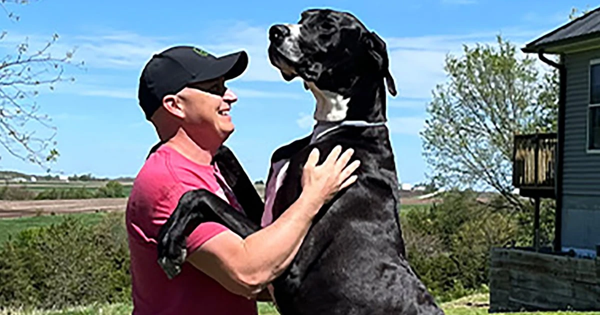 World's tallest male dog, Kevin, dies after setting new record