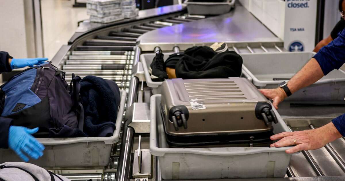 TSA reveals craziest confiscations of 2024, from snakes in pants to meth in crutches