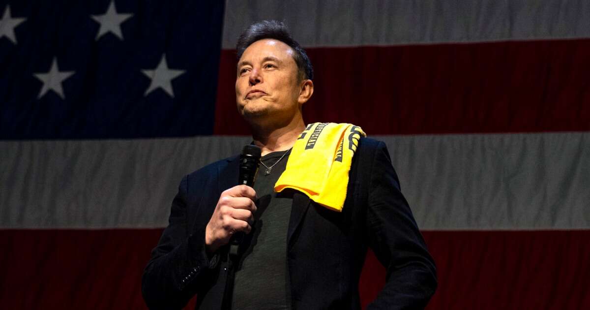 Elon Musk boosts German anti-immigrant party with live event on X