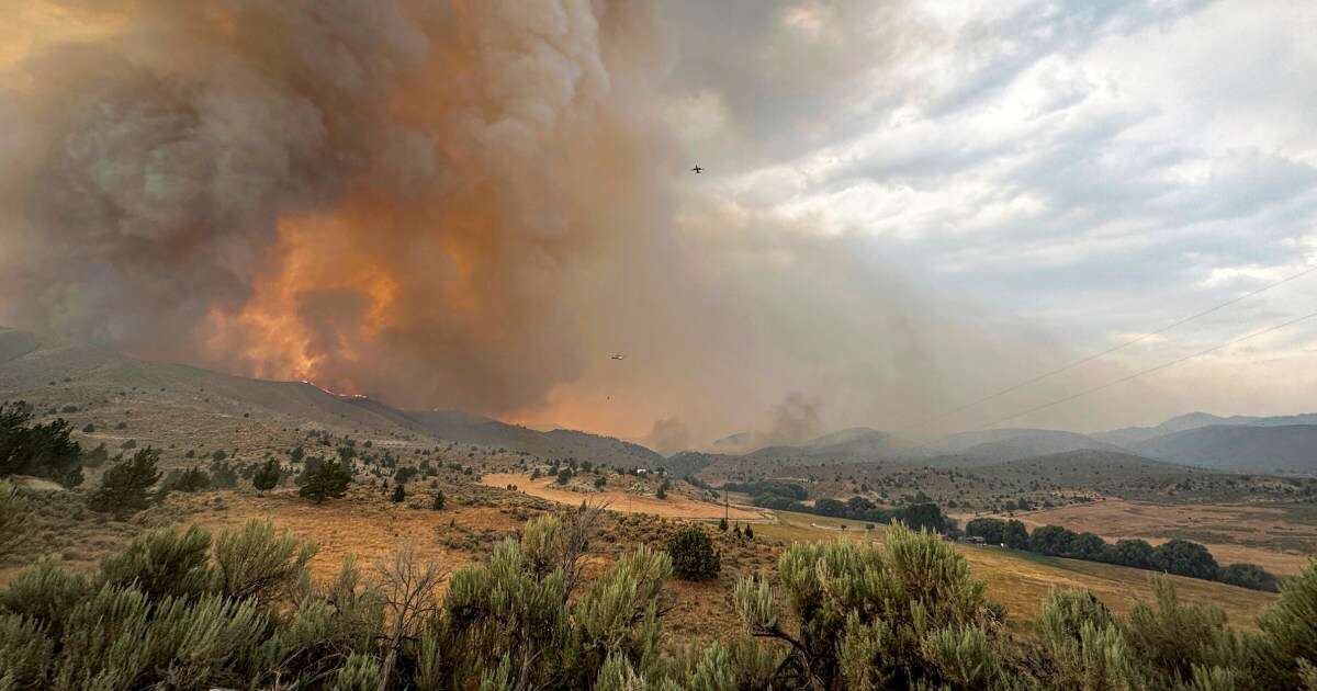 Government-contracted plane goes missing near wildfire in Oregon, officials say