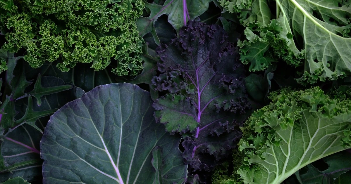 If you want to protect your brain, this diet beats the Mediterranean diet, new study suggests