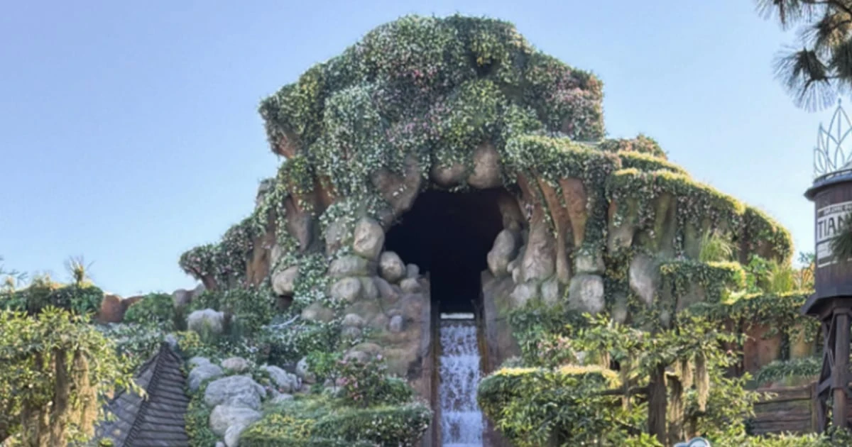Boy falls down 50-foot waterfall after getting off Disneyland ride early