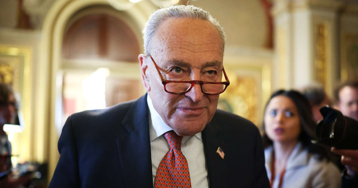 Democratic anger over 'Schumer surrender' shows party's deep divisions on how to take on Trump