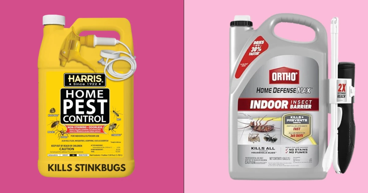 The best pet-safe bug sprays for your home