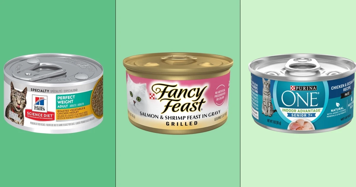Does your cat really need to eat wet food? Here's what vets recommend