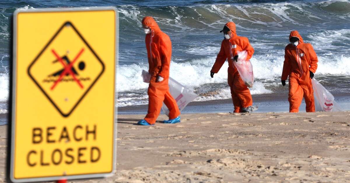 Mysterious black debris in Sydney was not tar balls but ‘much more disgusting’ waste