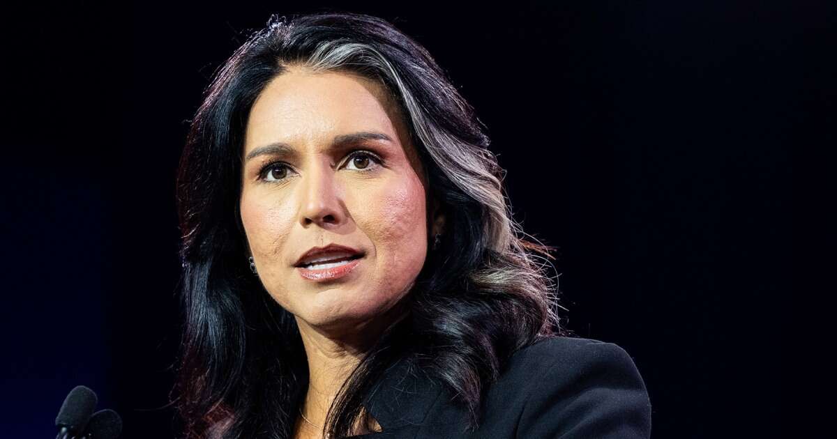 Nearly 100 former national security officials 'alarmed' at prospect of Gabbard leading intel community