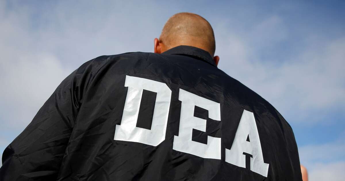 DEA halts passenger searches after alleged civil rights violations and racial profiling