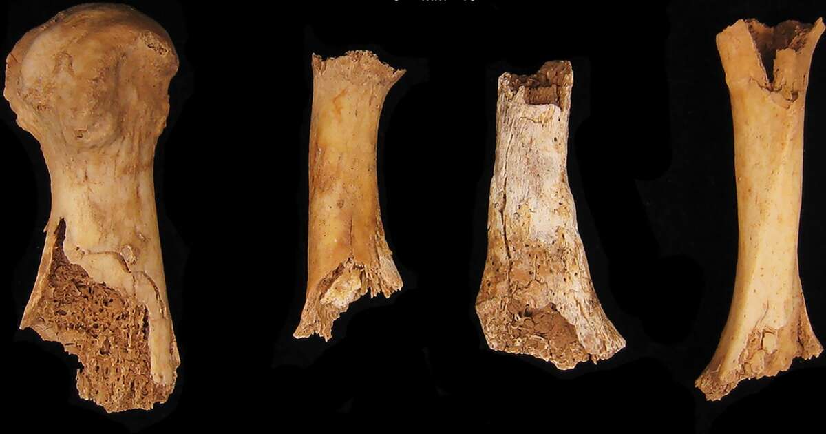 Bronze age Britons were cannibalized after an 'exceptionally violent' attack