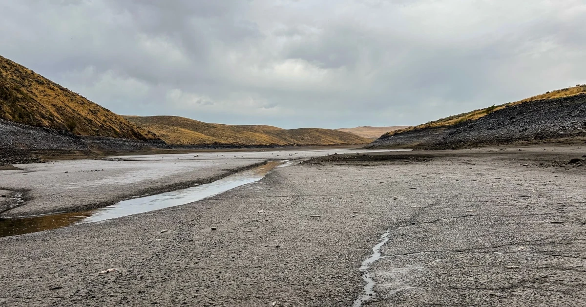 The fish will die regardless: With some Western reservoirs set to run dry, officials lift fishing limits