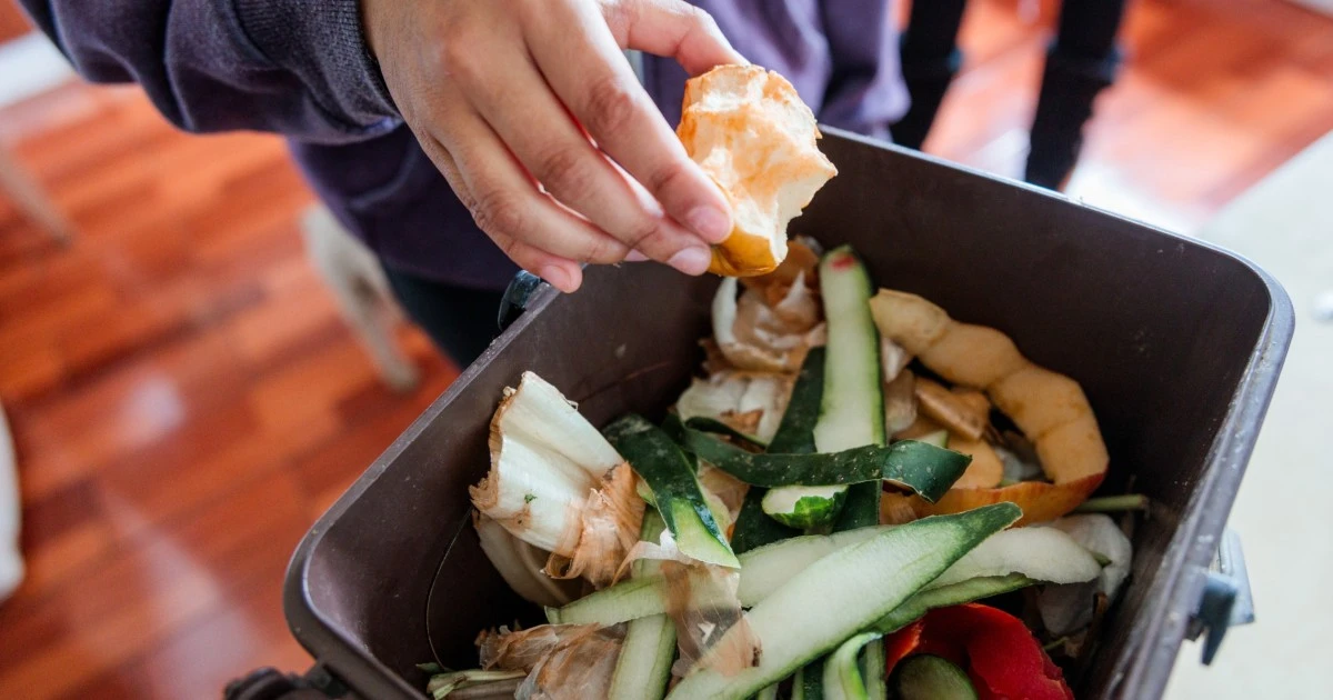 The best compost bins, according to gardening experts