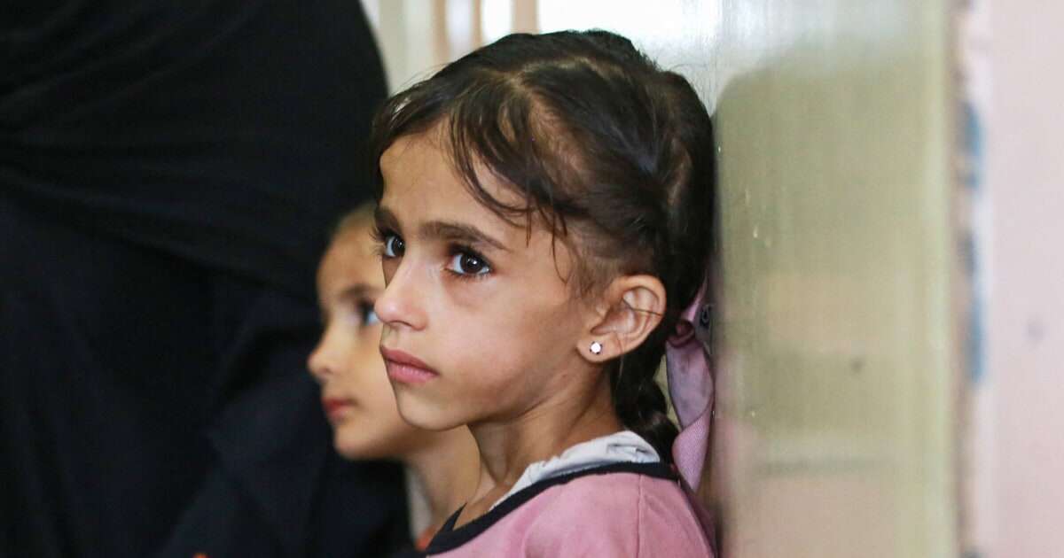 Sick Gaza children evacuated to Egypt as part of international effort