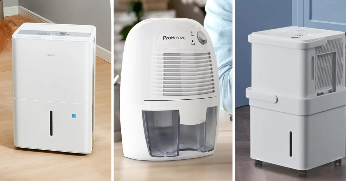 The best dehumidifiers of 2026, according to experts