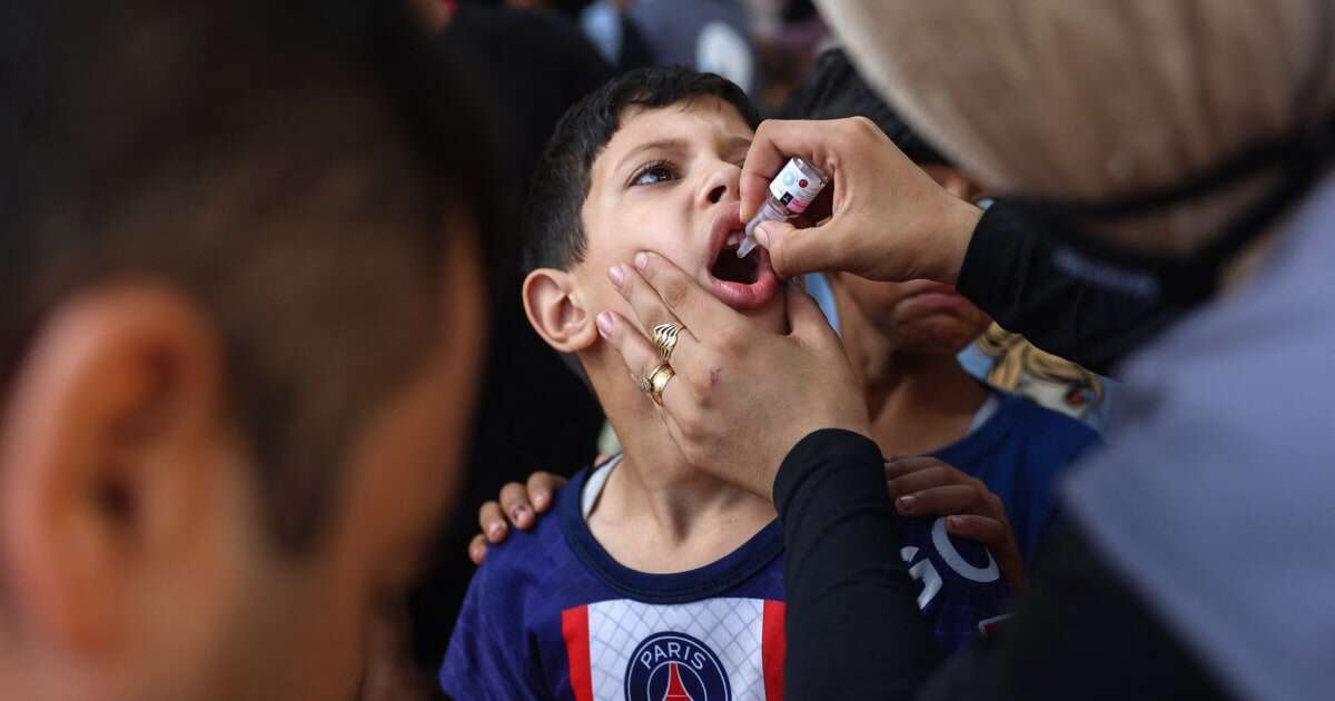 A 'joyful' scene: More than 550,000 Gazan children have received the polio vaccine