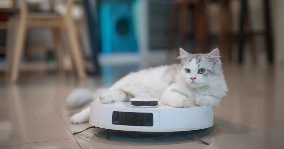 Tired of stubborn pet hair? Make sure you’re using the right vacuum