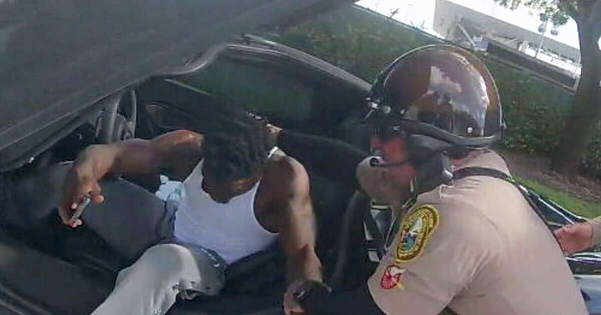 Miami-Dade police release video of Tyreek Hill being detained 