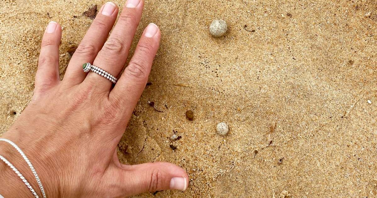 Sydney beaches shut once again over mysterious debris washed on shore