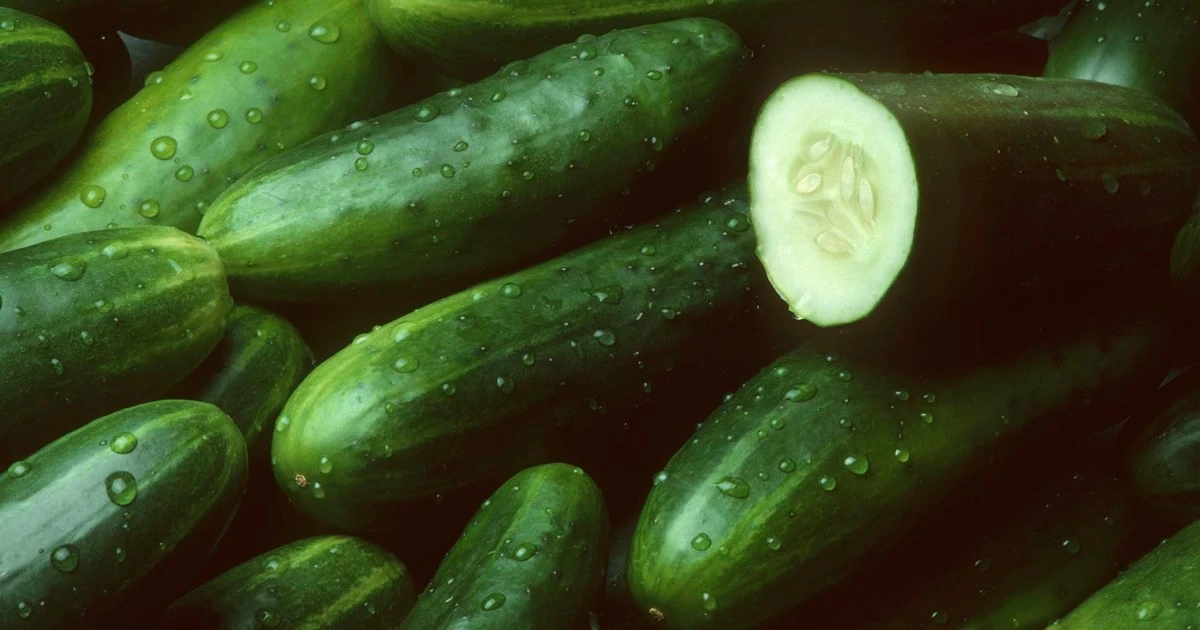 FDA recalls cucumbers due to multistate Salmonella outbreak sickening over 20 people