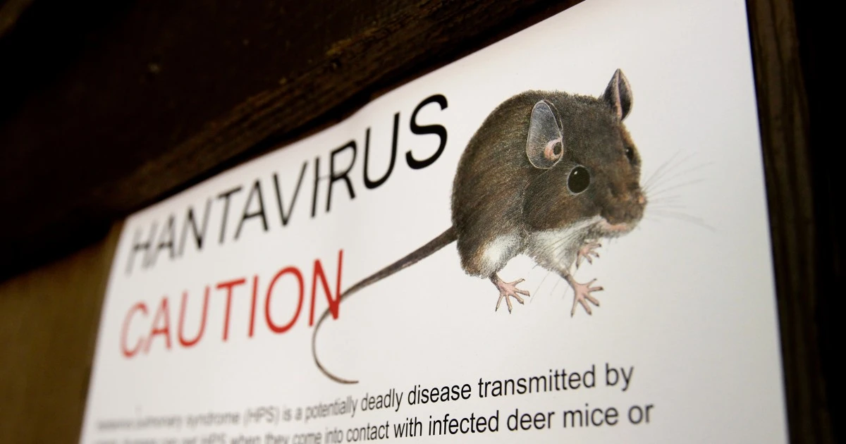 What to know about hantavirus
