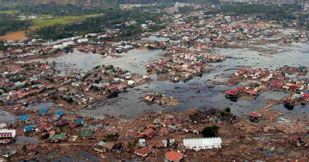 20 years after a devastating tsunami, a survivor celebrates what the disaster has given him