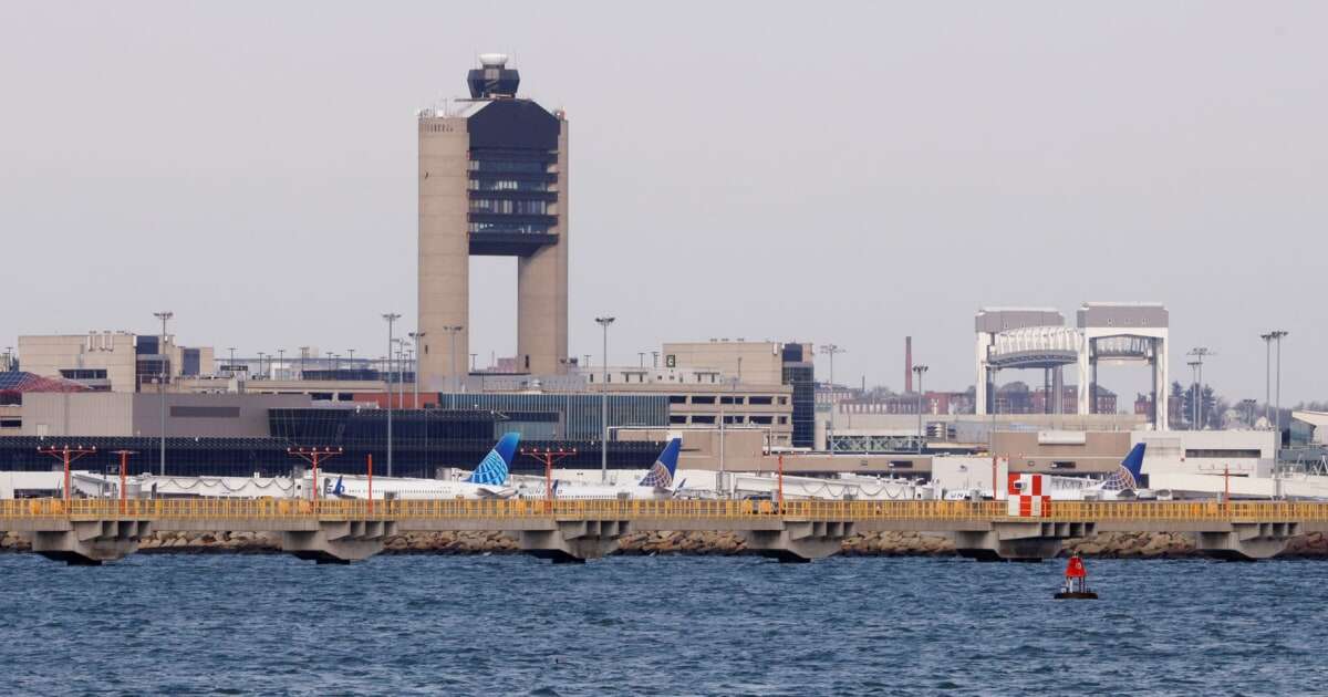 Woman stung by scorpion while getting luggage at Boston's Logan Airport