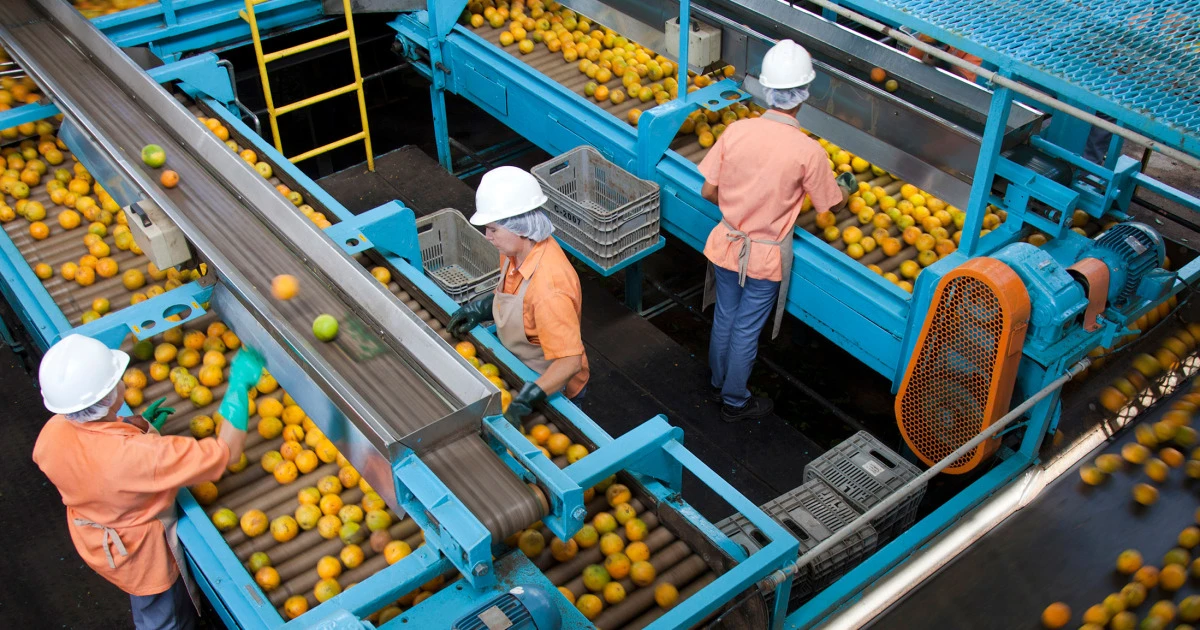 Orange juice importer says Brazil tariffs will squeeze American consumers