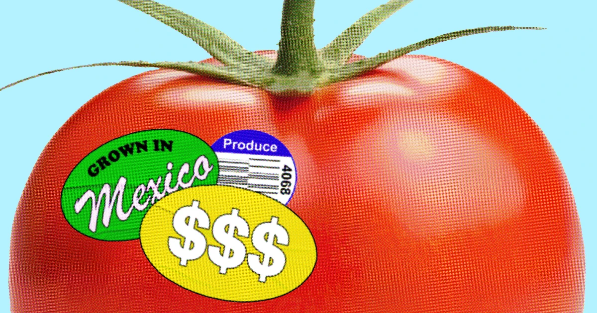 Greenhouse growers take aim at U.S. 'tomato tax' on Mexican imports